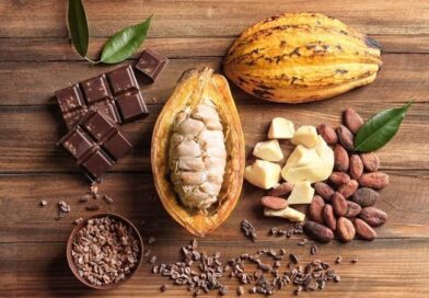 Ekiti Targets Cocoa Revival with 10 Million Seedlings