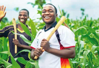 How Nigerian Banks Have Financed Agriculture — 2024 to 2026