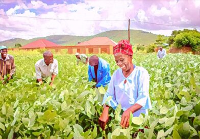 Agric Sector Grows 3.15% to N11.87trn in Q1 2026, But Export Decline Raises Concern