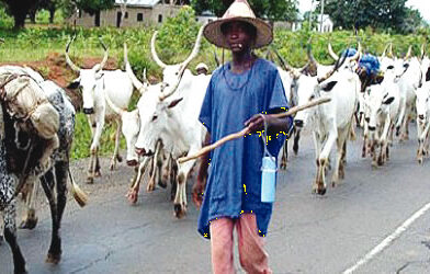 Benue Court Convicts Five Herdsmen for Open Grazing Violations