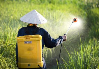 Nigeria Locks Down 2026 Fertiliser Supply, Shielding Farmers From Global Price Shocks
